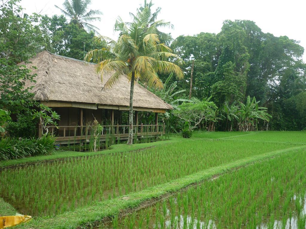 Ananda Ubud Resort Екстер'єр фото