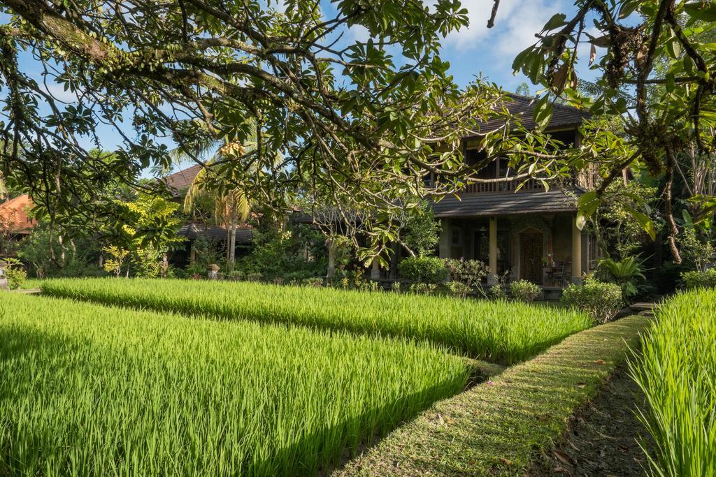 Ananda Ubud Resort Екстер'єр фото